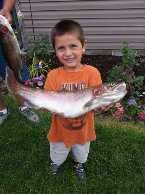 Big fish